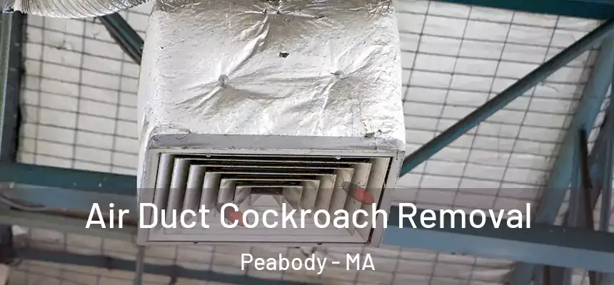  Air Duct Cockroach Removal Peabody - MA
