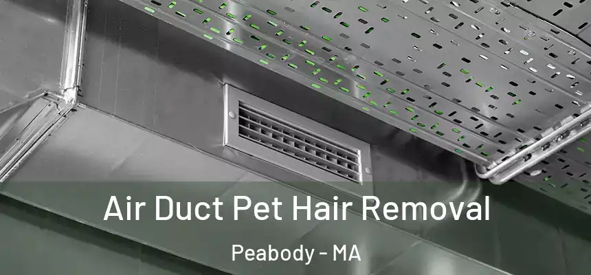  Air Duct Pet Hair Removal Peabody - MA
