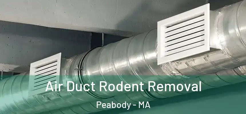  Air Duct Rodent Removal Peabody - MA
