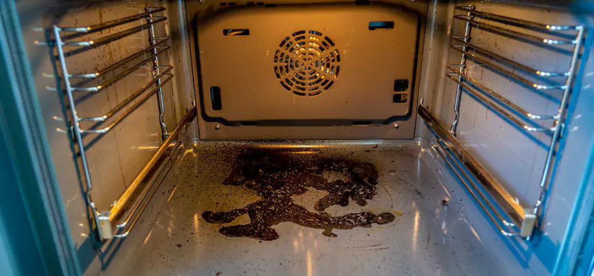 Our Dryer Vent Mold Cleaning Services in Peabody, MA