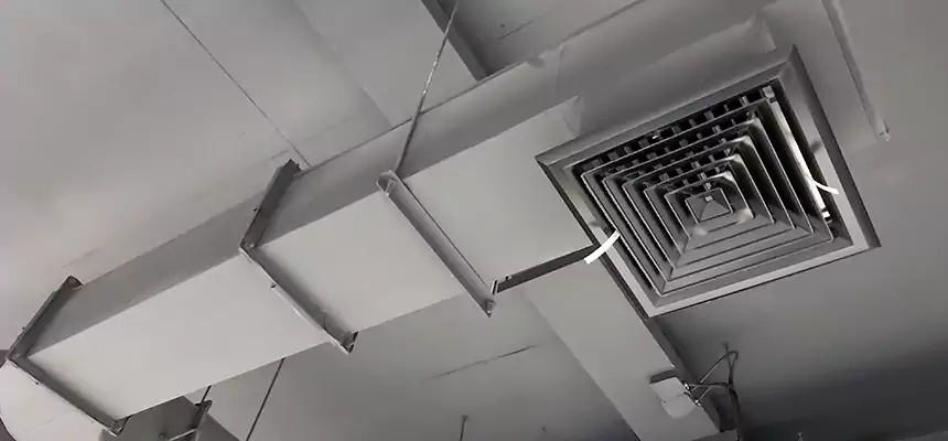 Our Pest Removal From Ducts Services in Peabody, MA