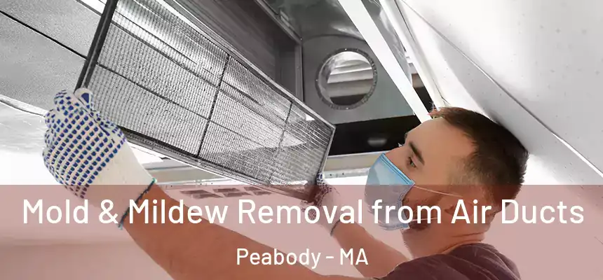  Mold & Mildew Removal from Air Ducts Peabody - MA