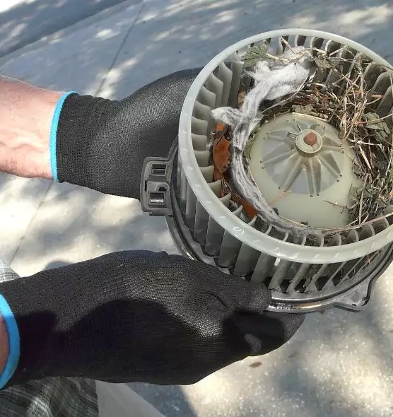 About Air Duct Mice Removal in Peabody, MA