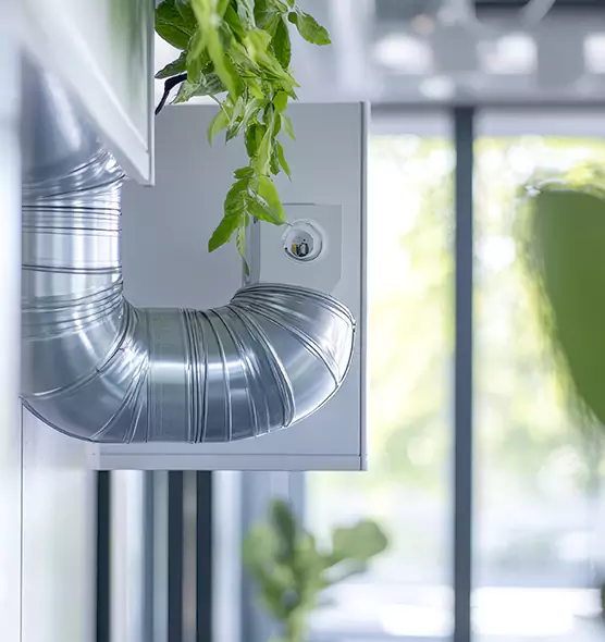 Professional Eco-Safe Dryer Vent Cleaning in Peabody, MA