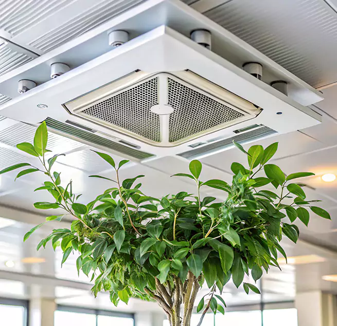 Why Homeowners & Businesses Trust Us in Peabody, MA?