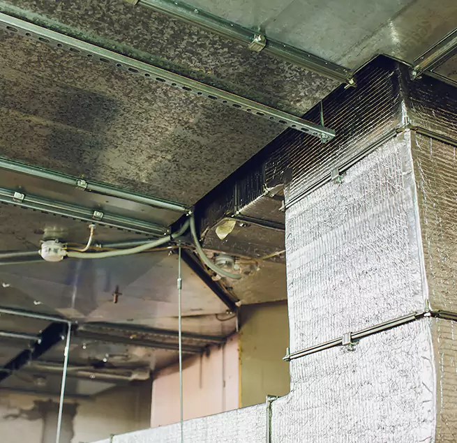 Why Homeowners & Businesses Trust Us in Peabody, MA?